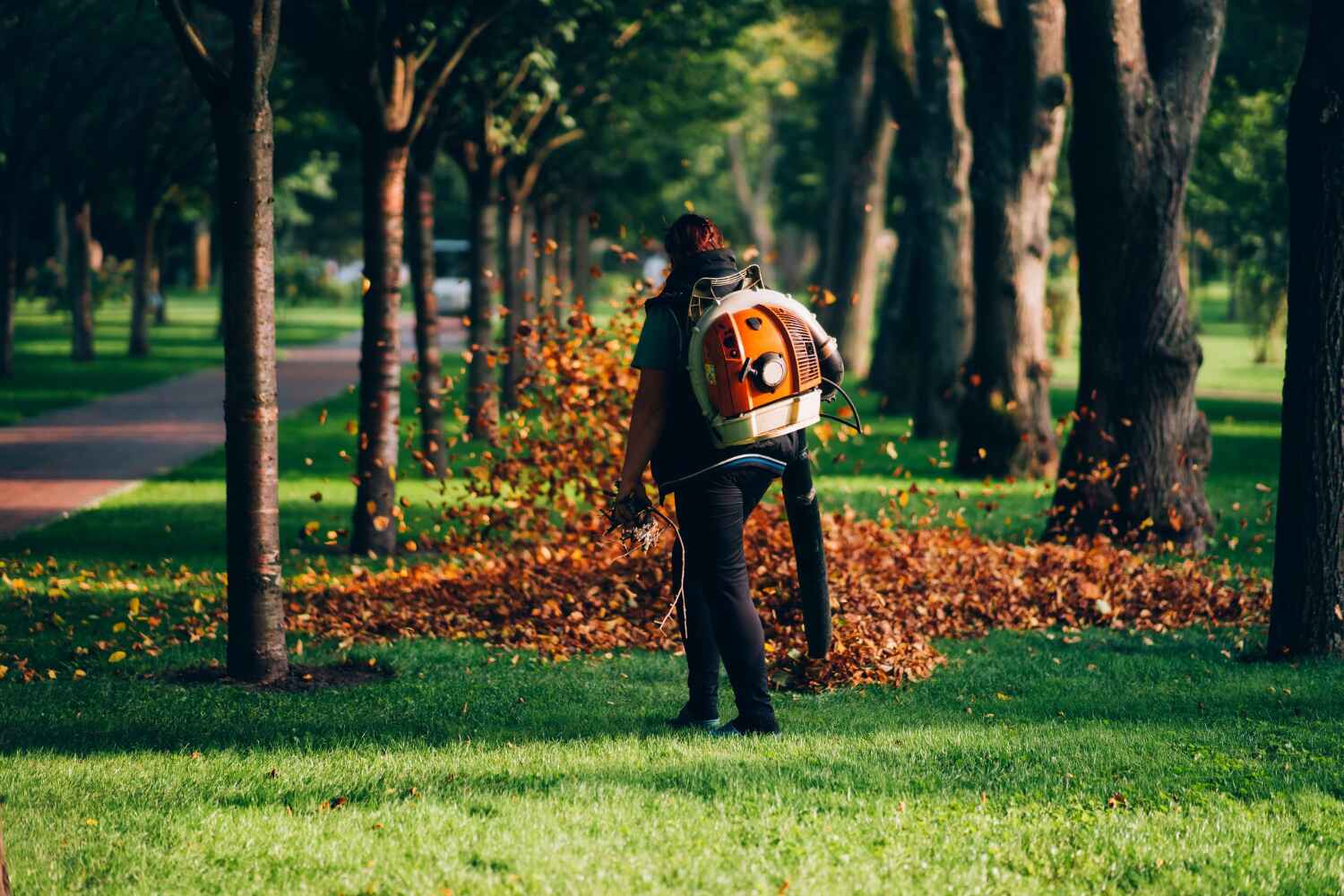 Best Tree Health Inspection  in Mary Esther, FL